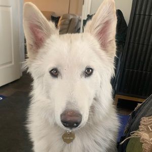 Meet your Posher, Soyoung